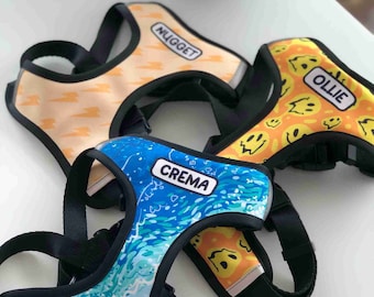 Personalized Harness for Dogs and Puppies | Adjustable, Breathable, and Reflective | Customizable with your pet's name