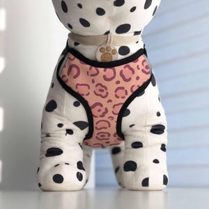 Cheetah Harness for Dogs and Puppies | Adjustable, Breathable, and Reflective | Customizable with your pet&#39;s name