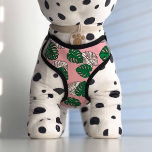 Monstera Leaves Harness for Dogs and Puppies | Adjustable, Breathable, and Reflective | Customizable with your pet&#39;s name
