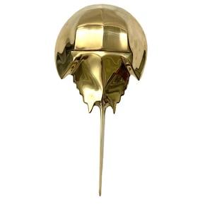 Brass Horseshoe Crab Door Knocker: Nautical Coastal Decor