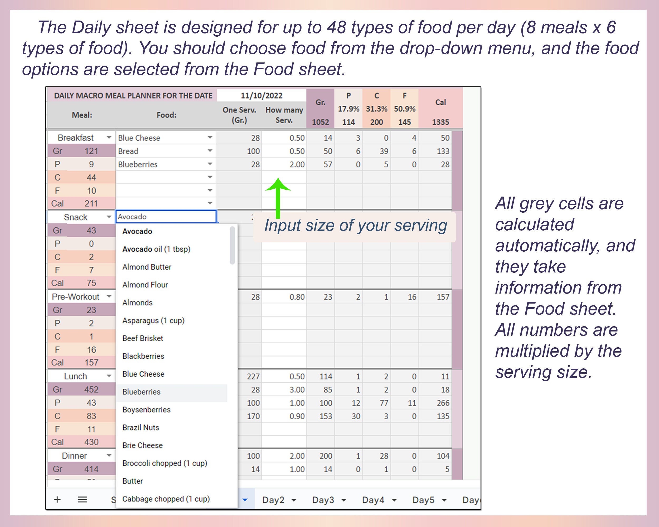 Macro Meal Planner Spreadsheet, Excel Meal Planner, Macro Diet Meal
