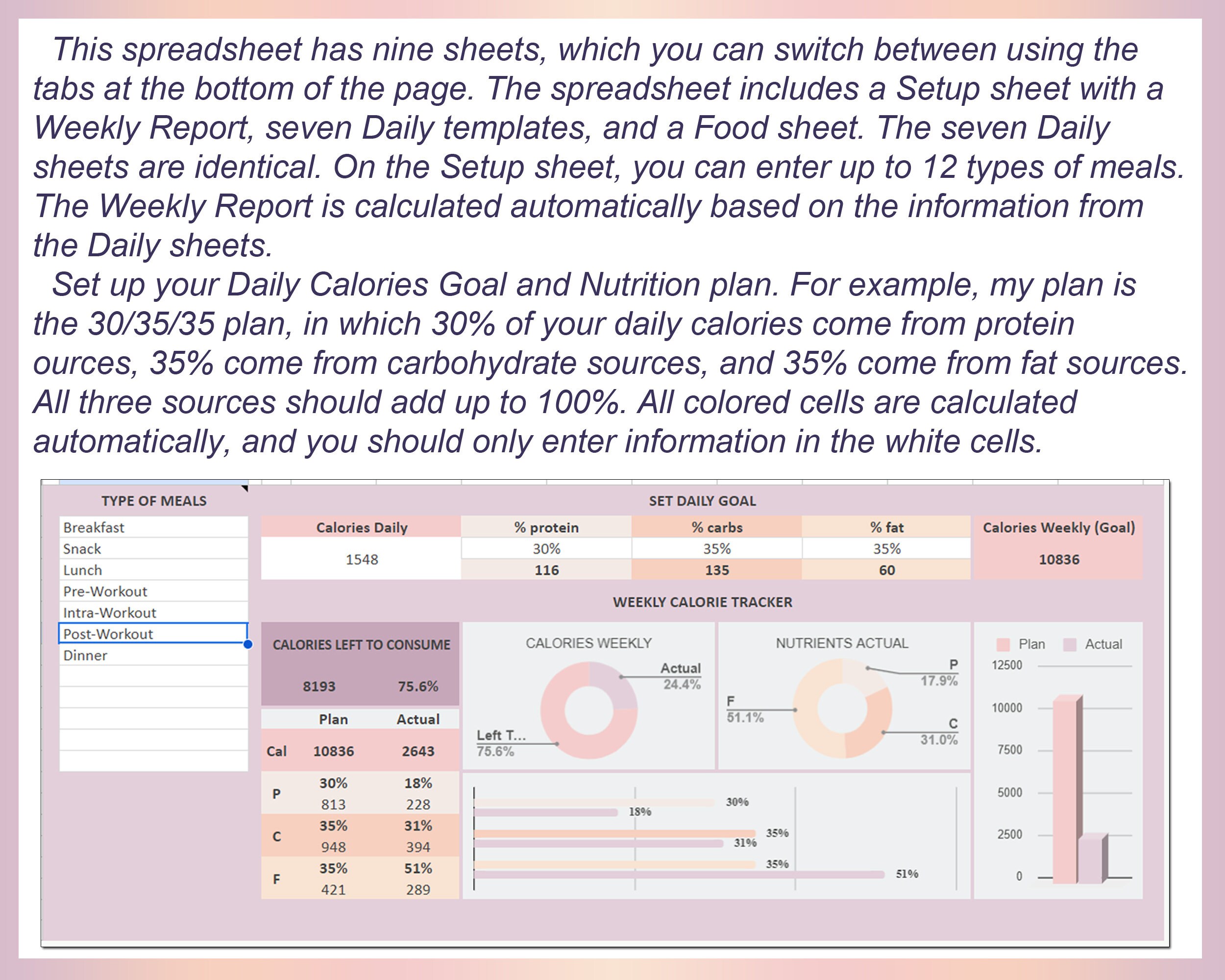 Macro Meal Planner Spreadsheet Excel Meal Planner Macro Diet - Etsy