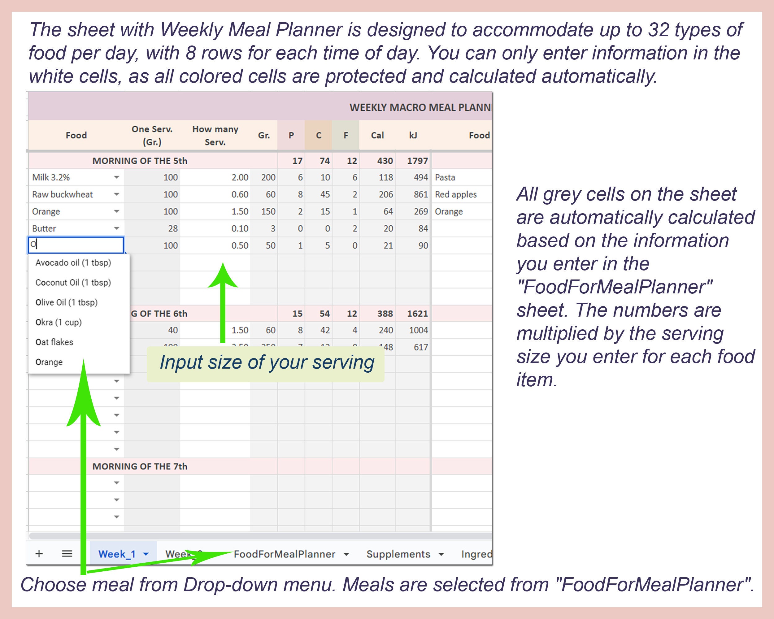 Macro Meal Planner, Digital Meal Planner, Macro Diet Meal Planner, Meal