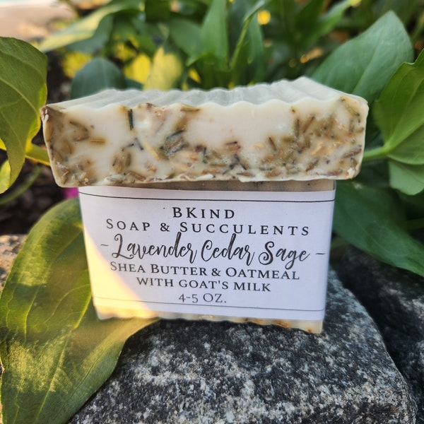 Dog Shampoo Bar Etsy