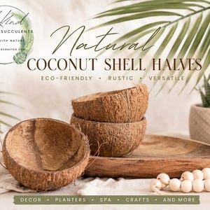 Coconut Shell Halves – Natural Rustic Bowls for Crafts, Decor, Plants & DIY Projects