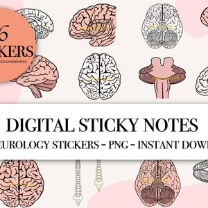 Neurology digital sticker pack, Nervous system digital stickers, Medicine, Nurse, PreMed, Transparent & Colored