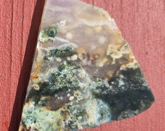 May include: A slice of moss agate with a variety of green, brown, and white patterns. The agate has a smooth, polished surface.