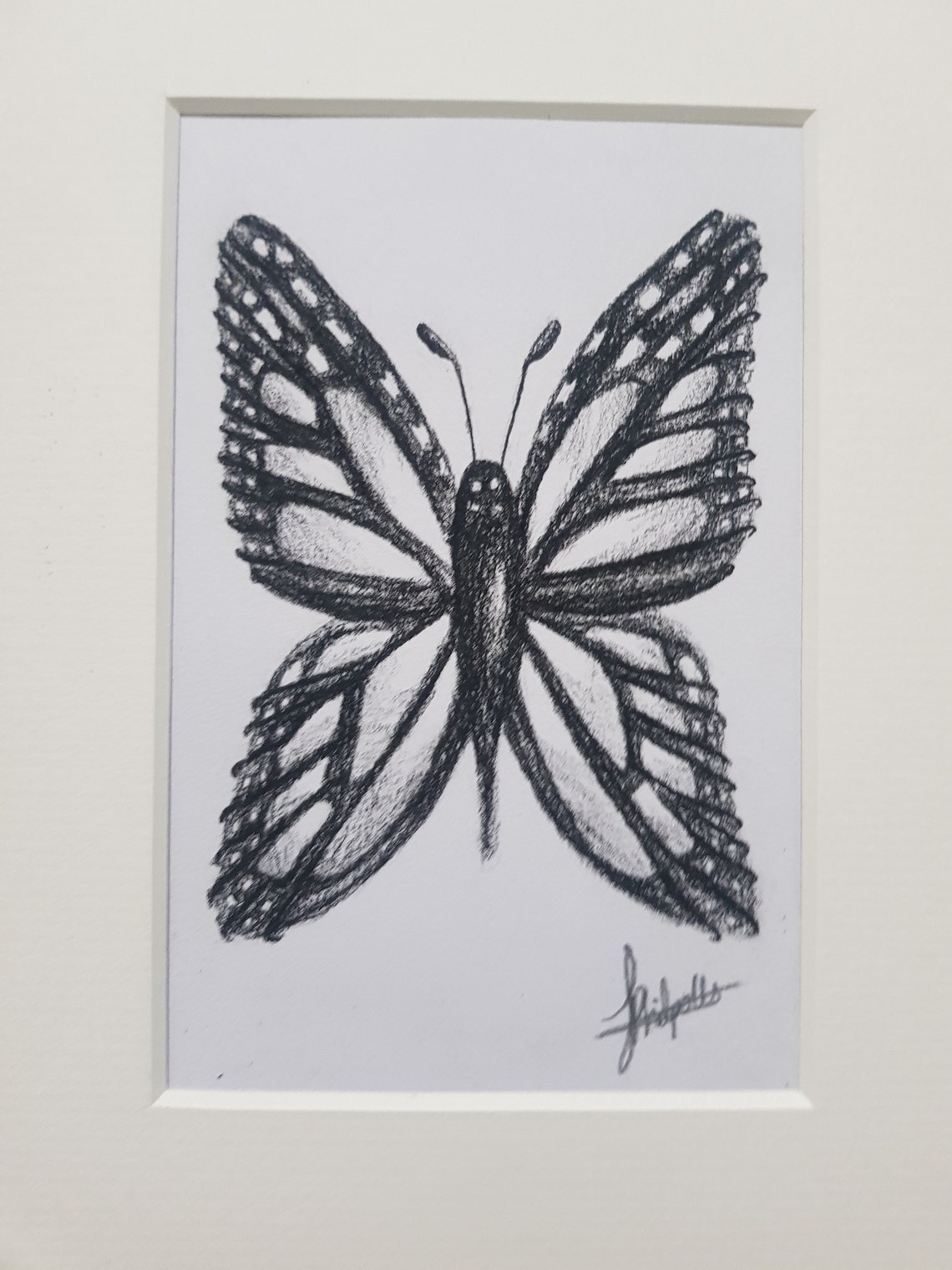 Original Butterfly Charcoal Drawing Etsy