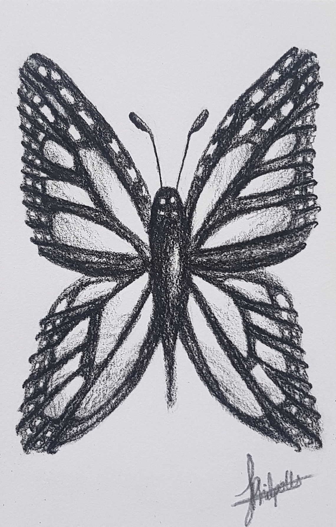 Original Butterfly Charcoal Drawing - Etsy
