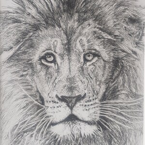 Original Lion Charcoal Drawing | Etsy