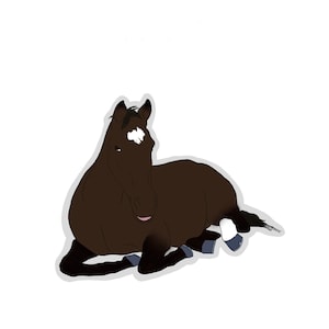 Bay horse laying down