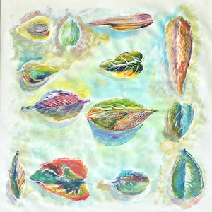 Leaves