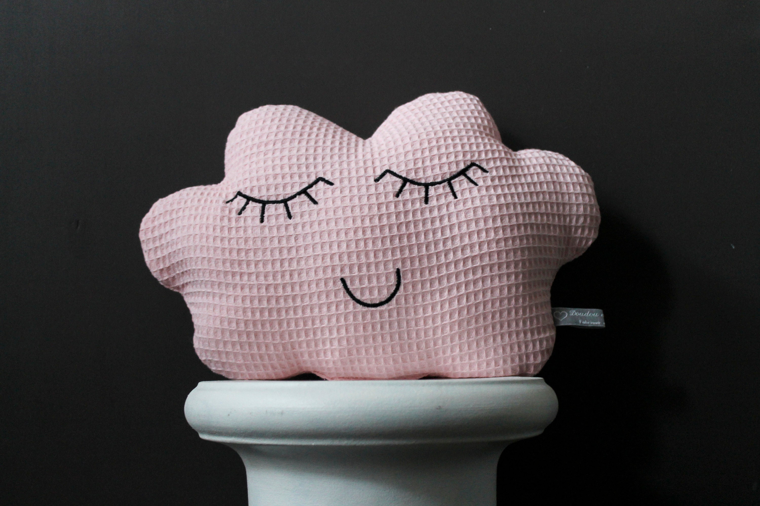 Coussin Nuage Doudou Rose Tendre Nid d'abeille 100% Coton Intérieur Ouate Polyester Visage Brodé Yeu