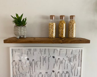 May include: Three glass jars with cork lids filled with dried pasta on a wooden shelf. A small potted succulent plant sits on the shelf to the left of the jars.