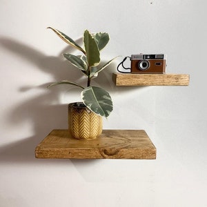May include: Two wooden shelves mounted on a white wall. The top shelf has a vintage camera on it. The bottom shelf has a potted plant with green and white leaves.