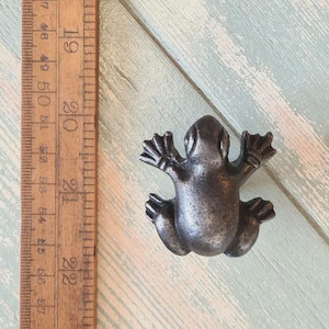 Peut inclure: Un petit bouton de meuble en forme de grenouille de style antique. Le bouton est en métal foncé avec une finition texturée. Une règle en bois est à côté du bouton.