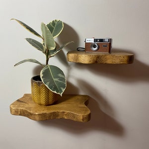 FORET Small Rustic Flower Live Edge Solid Wood Chunky Scaffold Floating Hidden Bracket Shelves image 1