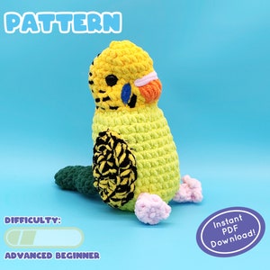 PATTERN | Chunky Parakeet Crochet Pattern | Green and Blue Variants | Beginner-Friendly | PDF Instant Download