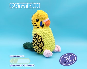 PATRÓN / Patrón de ganchillo de periquito grueso / Variantes verdes y azules / Apto para principiantes / Descarga instantánea en PDF