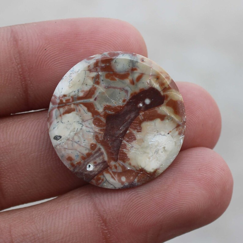 Bird Eye Jasper Stone Healing Loose Hand Polish 26X26X04 MM Valentine Gift Stone Rare Quality Bird Eye Jasper Gemstone Birth Stone US-3438
