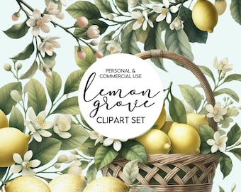 Lemon Watercolor Clip Art Set - Citrus Clip Art - PNG Files - Digital Download - Invitations, Stationery, Craft Projects, and More