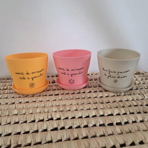 Bloempot / gepersonaliseerde bloempot / eindejaarscadeau / cadeau voor juf/nanny/assistent / zwangerschapsaankondiging / Moederdag