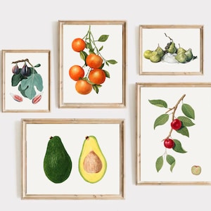 Kitchen Gallery Wall Art Set of 9, sketch Fruit Prints, Farmhouse Kitchen Decor, Retro Poster, Food Print, Dining Room Wall Set