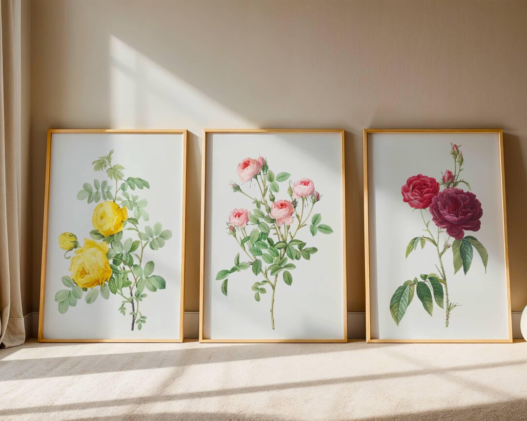 Vintage Pink Roses Floral Print Set | Antique Botanical Art (digital ...