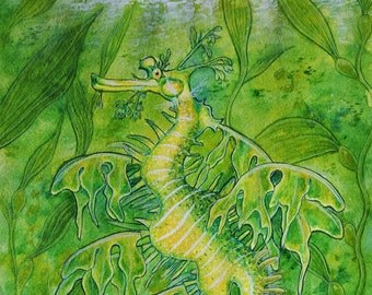 Leafy Sea Dragon Watercolour Painting Print