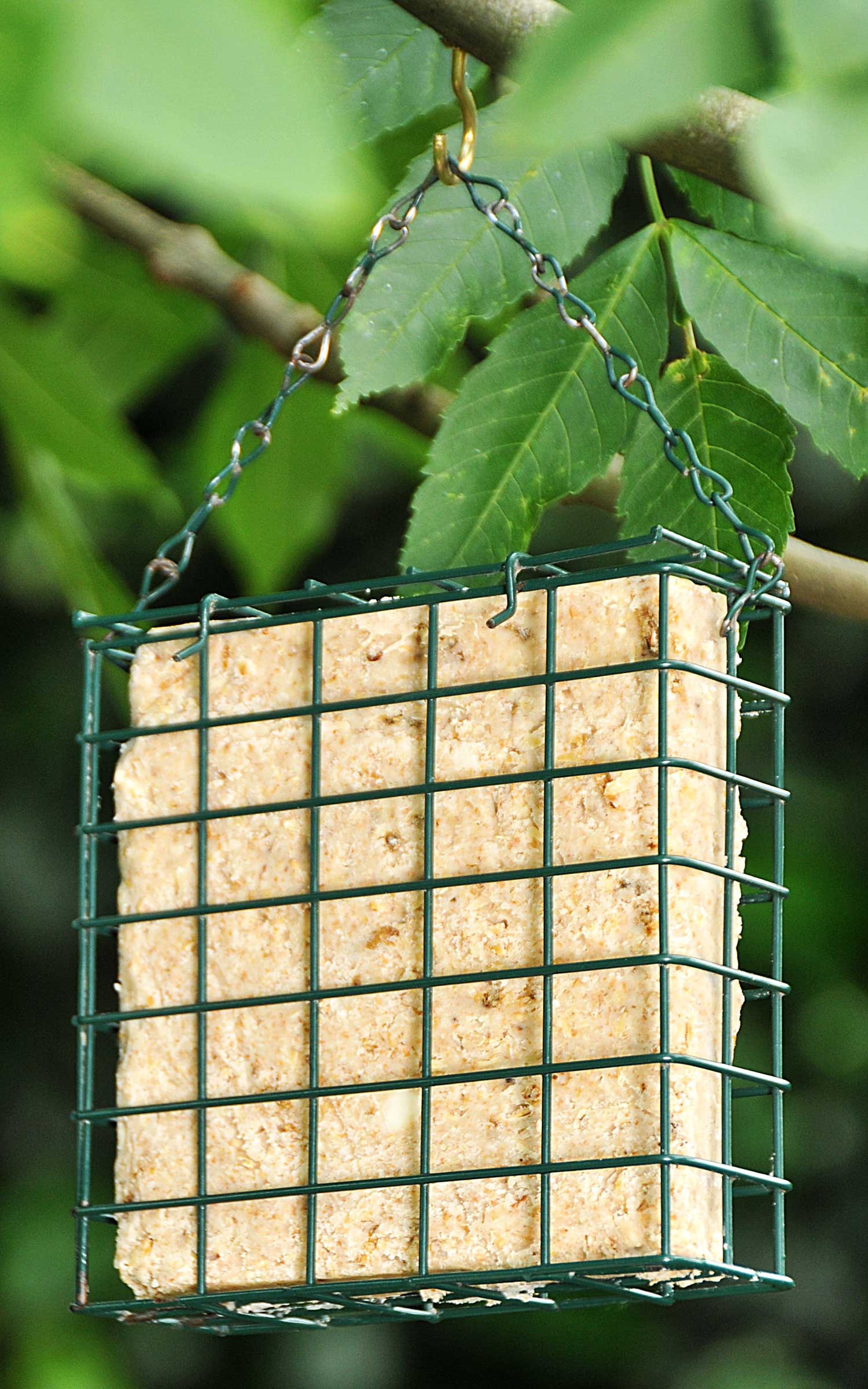 Suet Block Feeder With Jumbo Fat Block Metal Hanging Fat Cake | Etsy UK