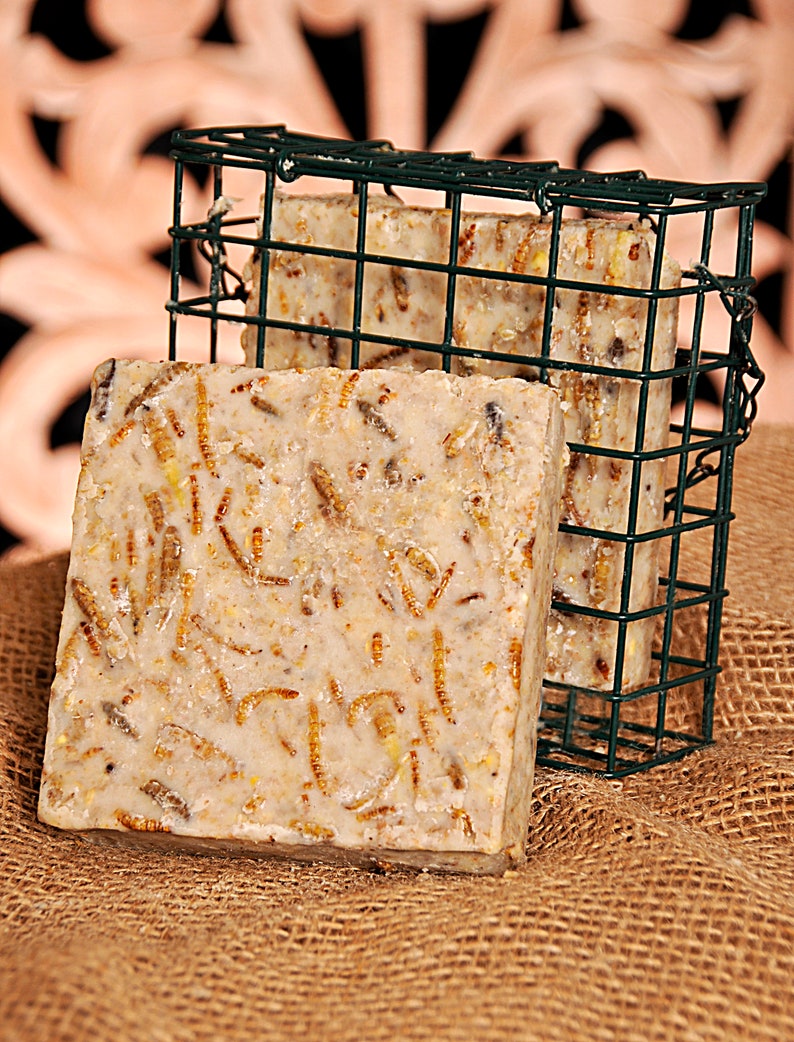 Pack of 6 Suet Fat Blocks for garden birds ECO wrapped No Etsy