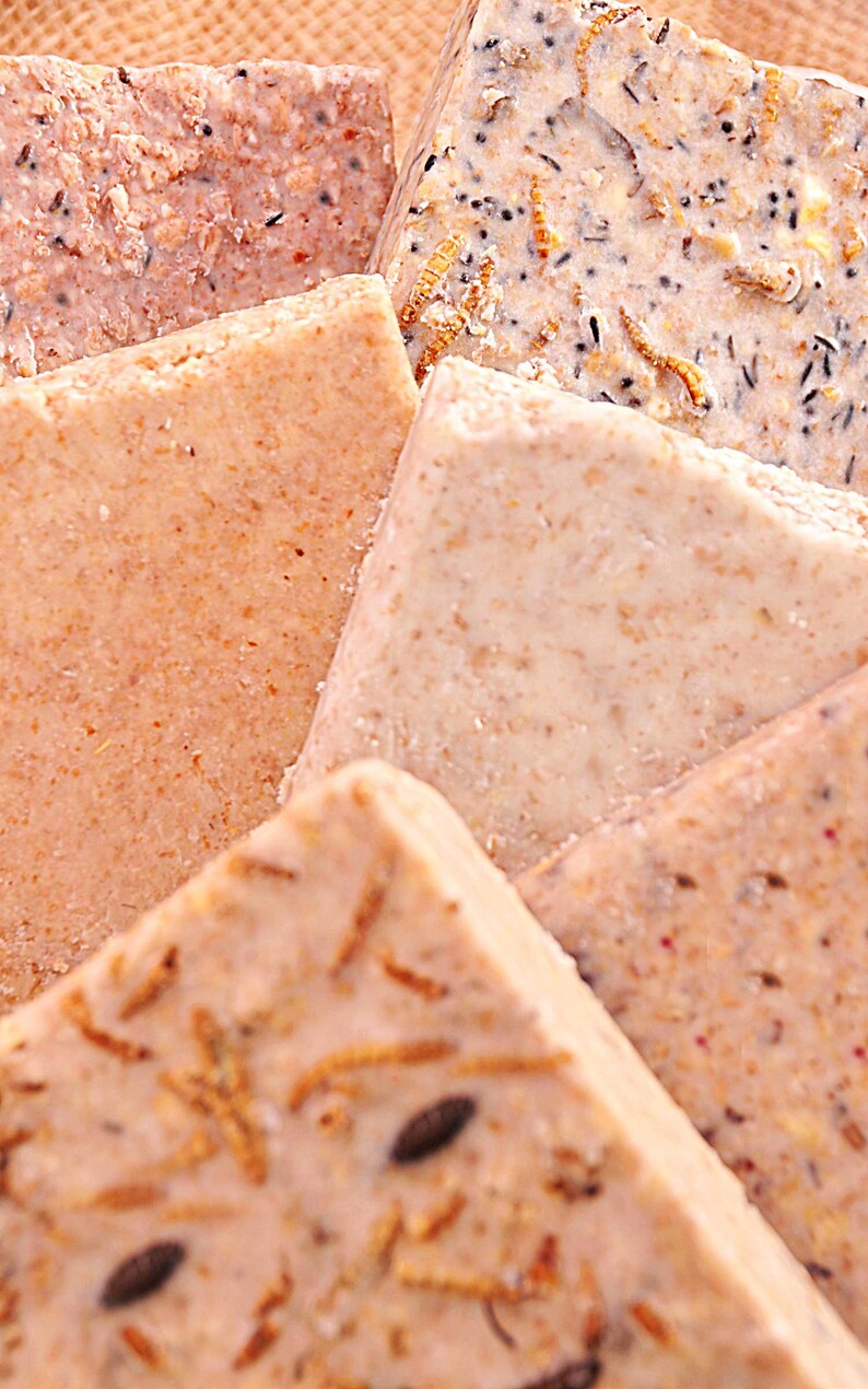 Pack of 6 Suet Fat Blocks for garden birds ECO wrapped No Etsy