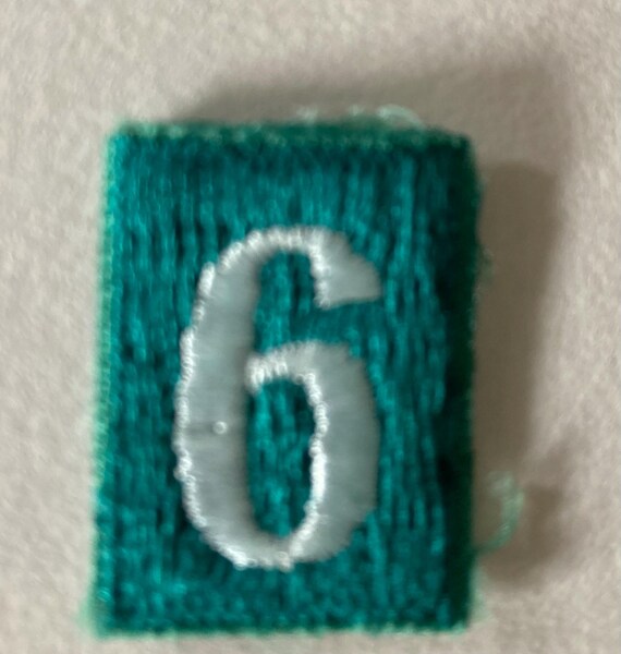 GSUSA INSIGNIA items assorted - image 9