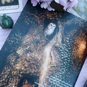May include: An illustrated card featuring a detailed drawing of a tree with an owl in a hollow and a fox in another. The card has text on it and is surrounded by pink flowers and other cards.