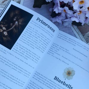 The Waking Woods - An Ostara Grimoire – Spring Witchcraft, Folklore, Nature Magic image 9