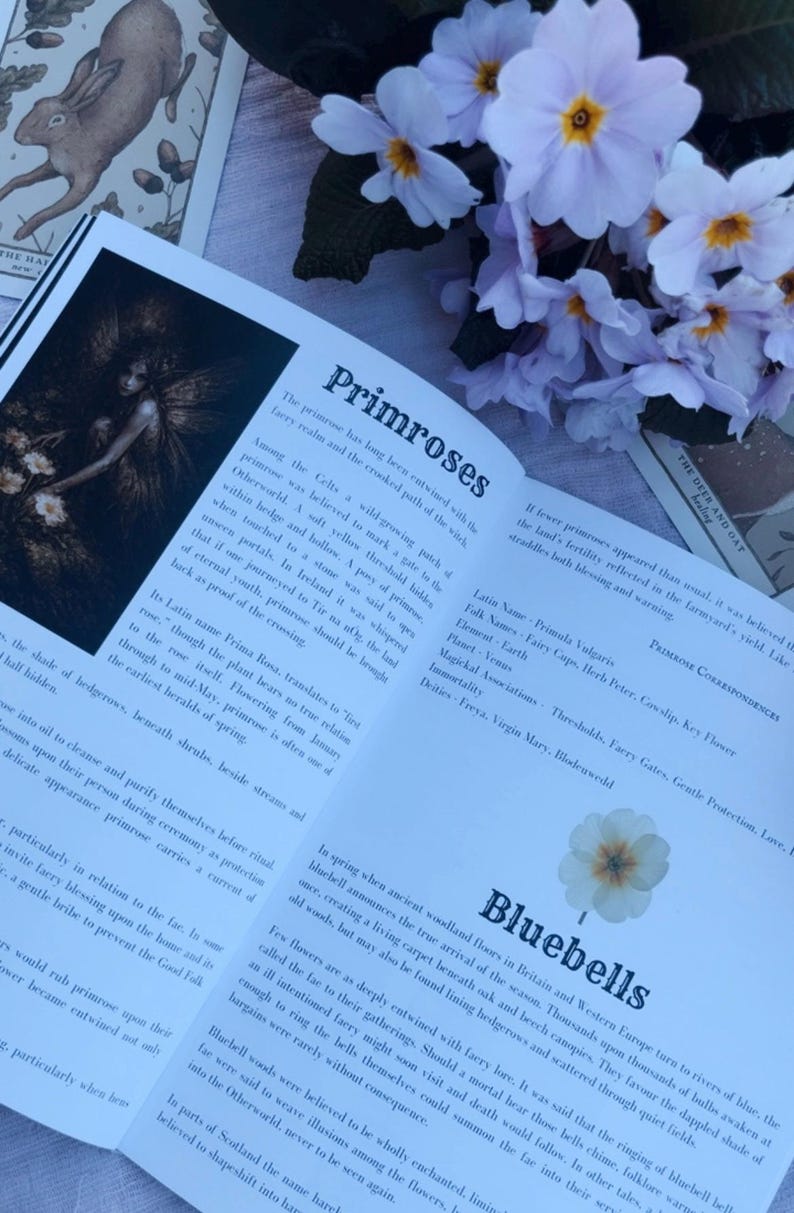 The Waking Woods - An Ostara Grimoire – Spring Witchcraft, Folklore, Nature Magic image 9