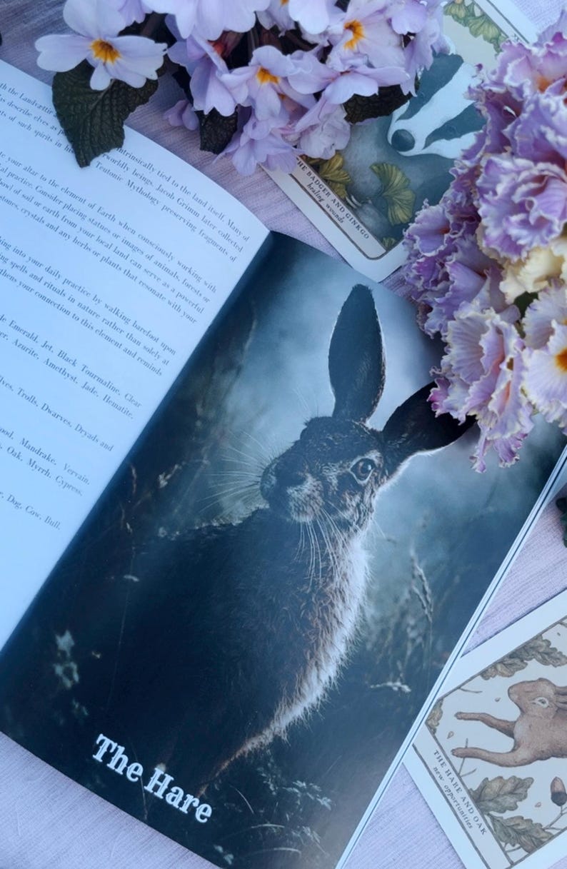 The Waking Woods - An Ostara Grimoire – Spring Witchcraft, Folklore, Nature Magic image 4