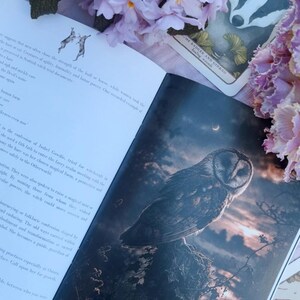 May include: An open book with illustrations of an owl, hares, and text. The owl is perched on a branch against a dusky sky. The book is surrounded by purple flowers and a tarot card.