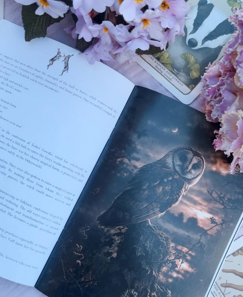 May include: An open book with illustrations of an owl, hares, and text. The owl is perched on a branch against a dusky sky. The book is surrounded by purple flowers and a tarot card.