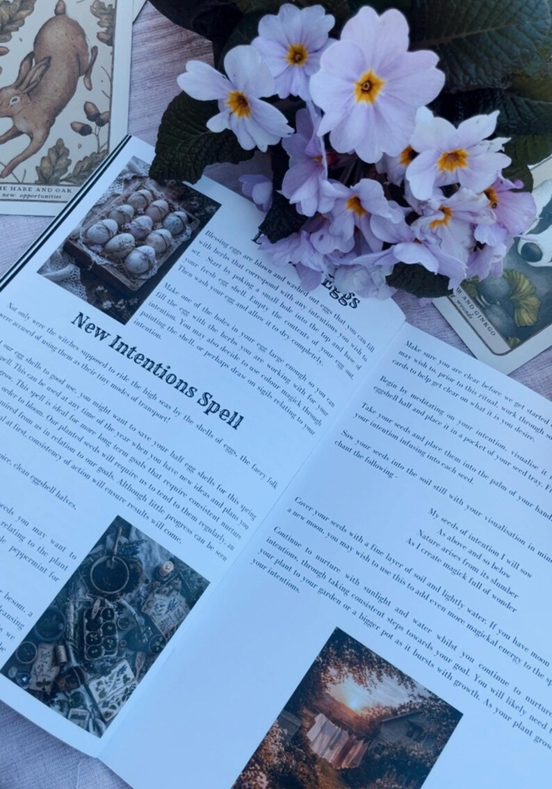 The Waking Woods - An Ostara Grimoire – Spring Witchcraft, Folklore, Nature Magic image 10