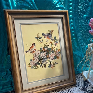Vintage wood framed - matted bird print