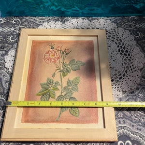 Puede incluir: Una pintura enmarcada de una rosa rosa con hojas y tallos verdes sobre un fondo marr&oacute;n claro.