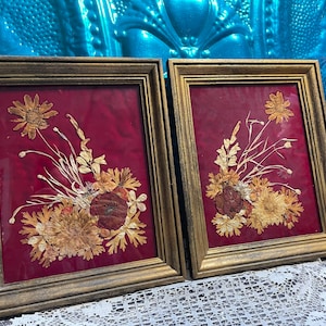 Vintage pressed flowers on red velvet in gilded frame - set of 2