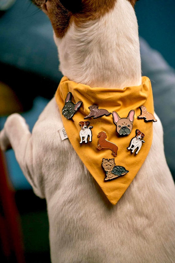 Pin on Dog Fashion