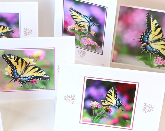 Butterfly Note Card Set of 8 w/ Envelopes • Fine Art Nature Stationery • Tiger Swallowtail Butterfly Photography • All Occasion Blank Cards