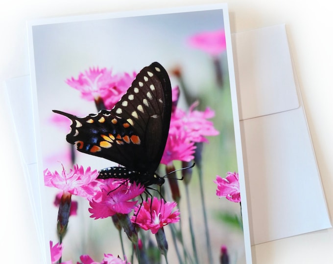 Butterfly Blank Cards • Swallowtail Butterfly Stationery Set of 6 with Envelopes • Fine Photo Art Notecards • Nature Gifts