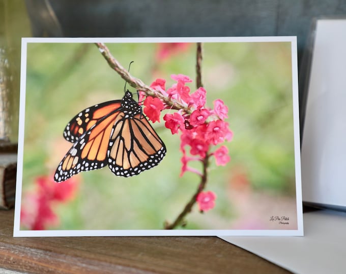 Monarch Butterfly Notecard Set with Envelopes, 4x6 Butterfly Stationery Set of 6, Butterfly Cards, Blank Invitations, All Occasion Card