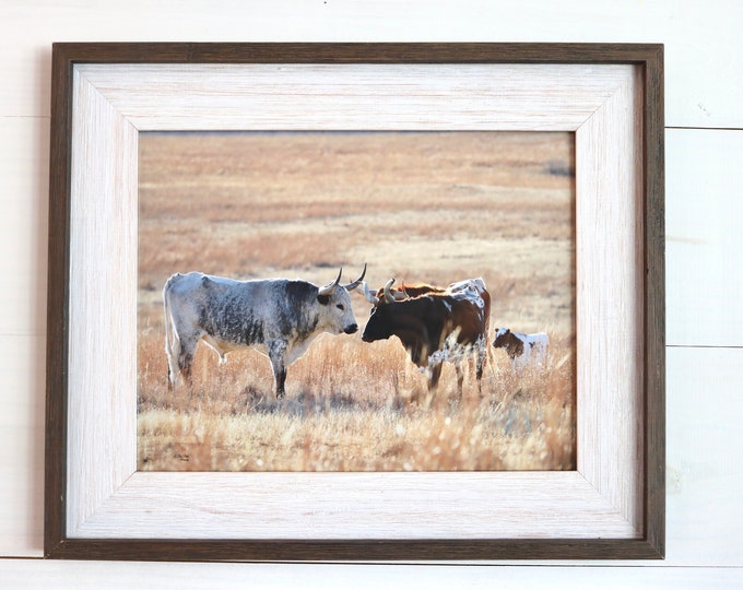 Longhorn Cattle Family Picture | Framed Winter Cattle Picture | Family of Longhorn Cow Wall Art | Longhorn Cattle Art | Fine Art Print