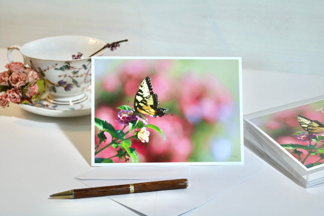 Swallowtail Butterfly Note Cards, Luminescent Watercolor Set of 6 - Etsy