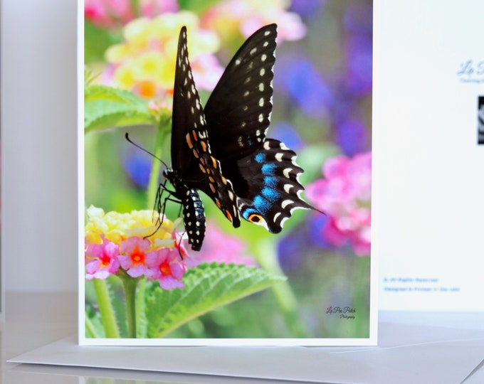 Butterfly Notecards | Butterfly Stationery Set of (6) with Envelopes | Black Swallowtail | Blank All Occasion Cards | Butterfly Lover Gifts
